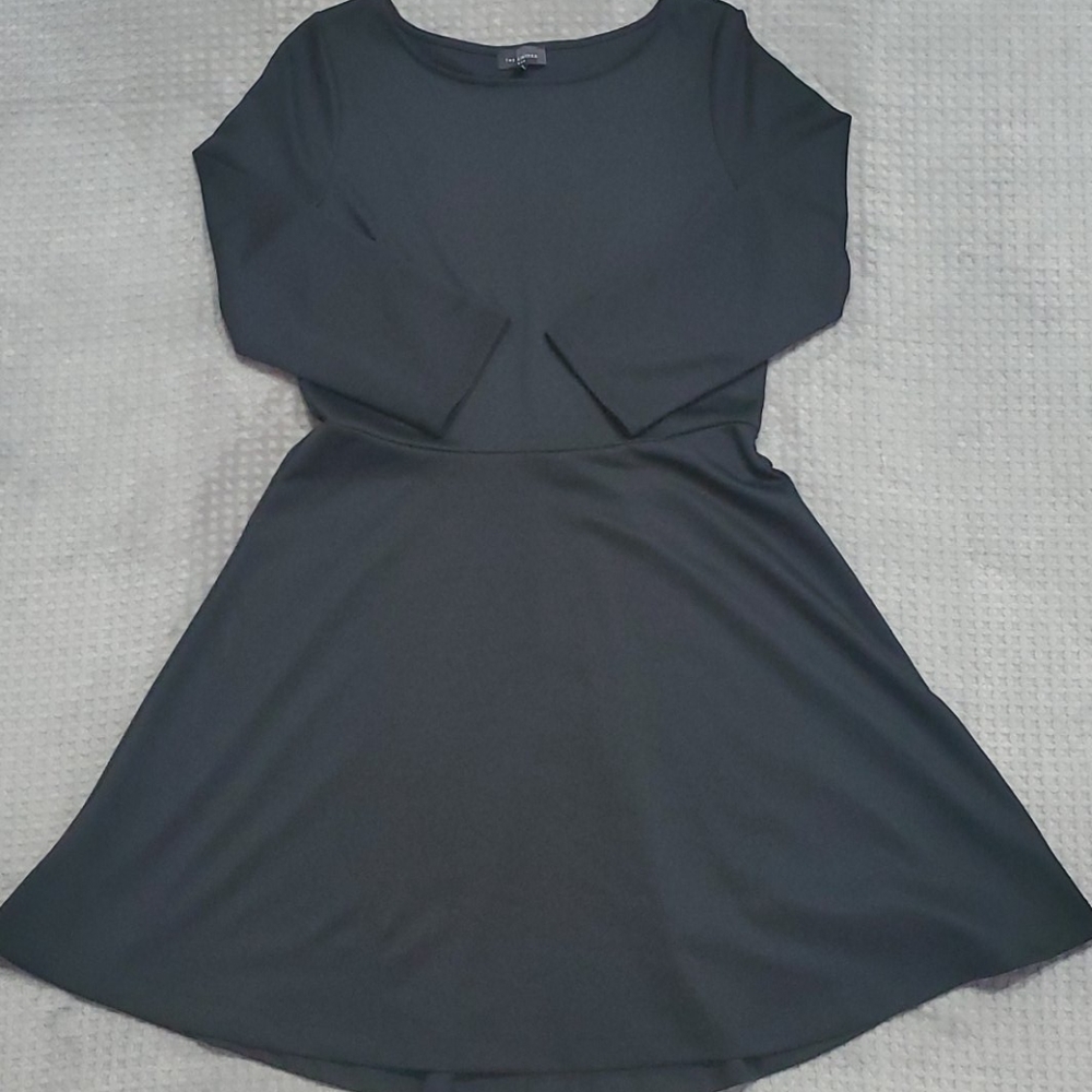 The Limited Dress